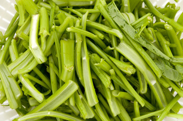 空心菜（クウシンサイ）の茎 アップ