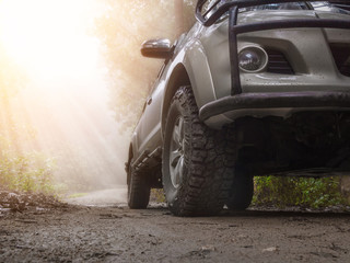Car on a dirt road in forest.