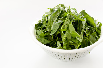 空心菜（クウシンサイ）の葉