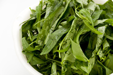 空心菜（クウシンサイ）の葉