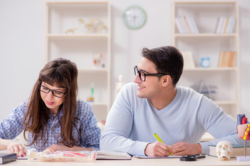 Fototapeta premium Two medical students studying in classroom