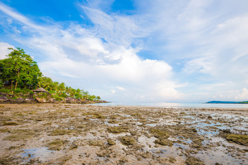 Tranquil sea beach with sand and rocky beach and coconut palm tree
