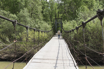 The suspension bridge1