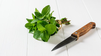 Freshly cut mint bunch with knife on white wooden table. The concept of healthy eating.