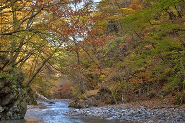 秋の渓流
