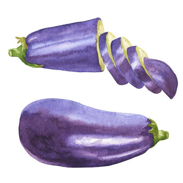 Watercolor eggplant delicious illustration set, isolated on white background hand draw realistic food art clip-art.
