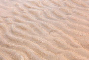 Wave on fine sand when the sea is ebb tide