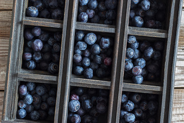 Blueberry ripe scattered wooden brown box background selective focus.