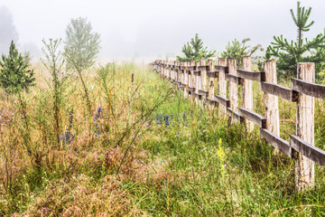 Fototapeta premium A misty morning in the countryside. A long wooden fence.