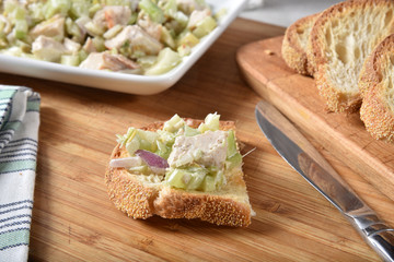 Chicken salad appetizer