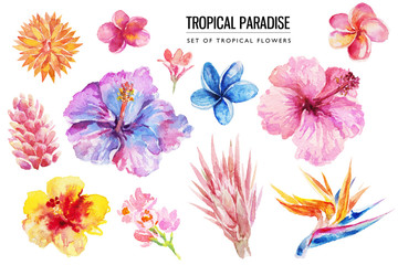 Watercolor tropical floral illustration set with bright hibiscus & flowers for wedding stationary, greetings, wallpapers, fashion, backgrounds, textures, DIY, wrappers, postcards, logo, etc. - obrazy, fototapety, plakaty