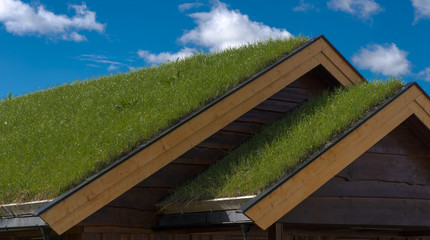 Toit à couverture végétale à Lillehammer, Norvège