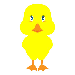 Yellow duckling standing. Vector illustration.