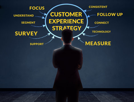 Customer Experience Strategy Concept. Blurred Businessman in Back Side standing in front of the Wall with Diagram