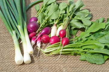 Fresh vegetables and greens on burlap