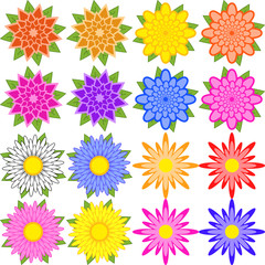 Set of blue, red, yellow, white, pink, orange, purple flowers.