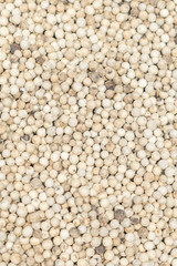 Fototapeta premium White pepper. closeup background texture.