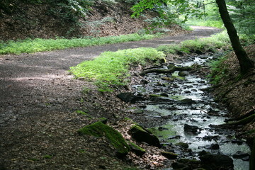 Fototapeta premium Wanderweg am Bach