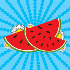 Red watermelon slices and flowers on a striped blue background