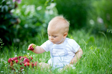 Cute toddler child, boy, eating strawberries in a garden