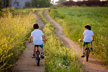 Sporty children, boy brothers, riding bikes on a rural landscape together