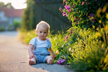 Naklejka premium Cute toddler boy, sitting on the street on sunset, playing with beautiful flowers