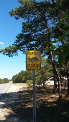 Schild: Turtle Crossing, Achtung: Schildkr&ouml;ten auf Cape Cod, USA