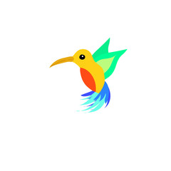 Isolated flat colorful hummingbird logo
