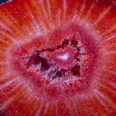 Red strawberry slice on black background, close up, top view