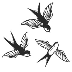 Set of hand drawn swallow illustrations on white background. Design elements for poster, card.