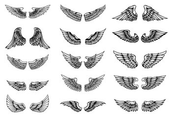 Set of bird wings illustrations in tattoo style. Design element for emblem, sign, logo, label.