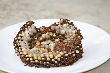 Steamed wasp's nest on white plated northern traditional Thai food