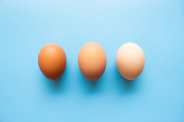 Eggs skin tone color dark to bright on blue background. Example for human skin compare