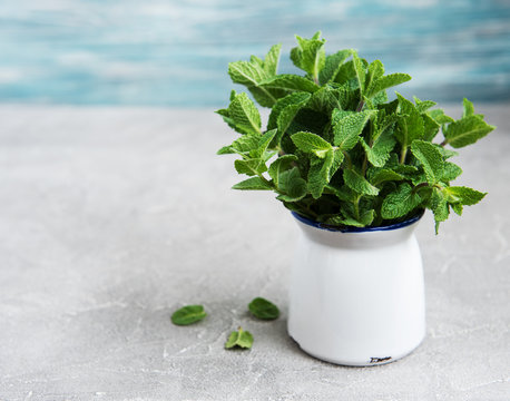 Fresh mint in a vase © Olena Rudo