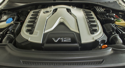 Motor car engine V12 open hood
