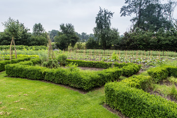 Urban vegetable garden growing food for the local community