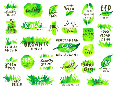 Organic labels hand drawn watercolor set
