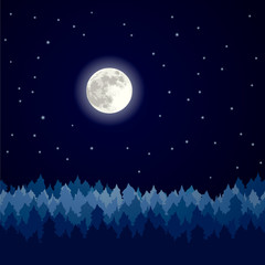 Night landscape, pine forest landscape with moon and stars.