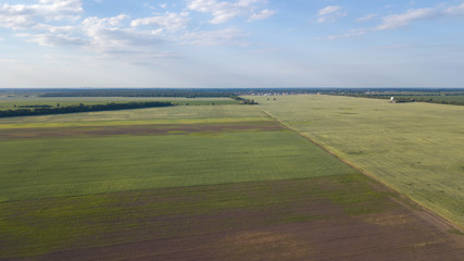 Obraz premium Farmland from above - aerial image of a lush green filed