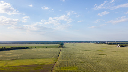 Farmland from above - aerial image of a lush green filed