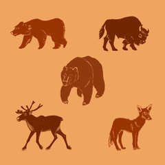 Vector illustration of wild animals.Hand drawn mammal silhouettes.