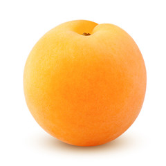 apricot isolated on white background, clipping path, full depth of field