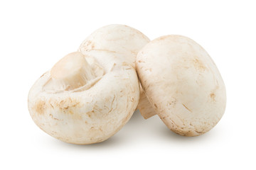 mushroom, champignon, isolated on white background, clipping path, full depth of field