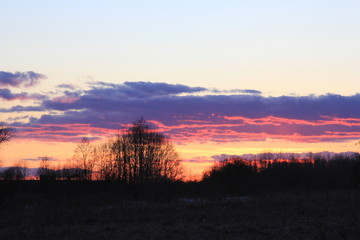 Fototapeta premium sunset sky