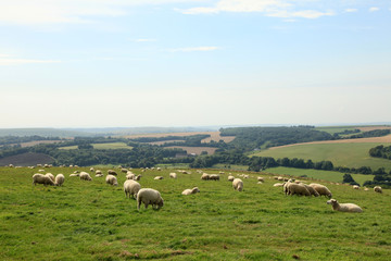 English Countryside