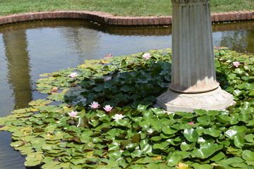 Naklejka premium Column