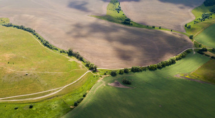 Aerial view of a bird on the field