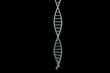 3d modeling, DNA modeling