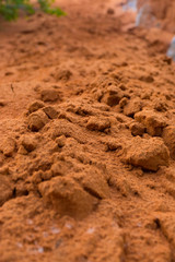 Red dune and red sand, Mui Ne, Phan Thiet, Vietnam