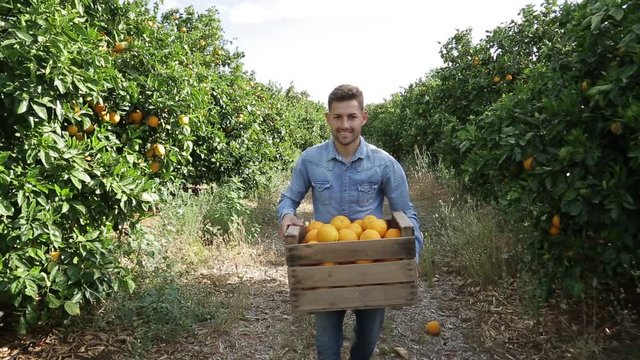 Naranjas